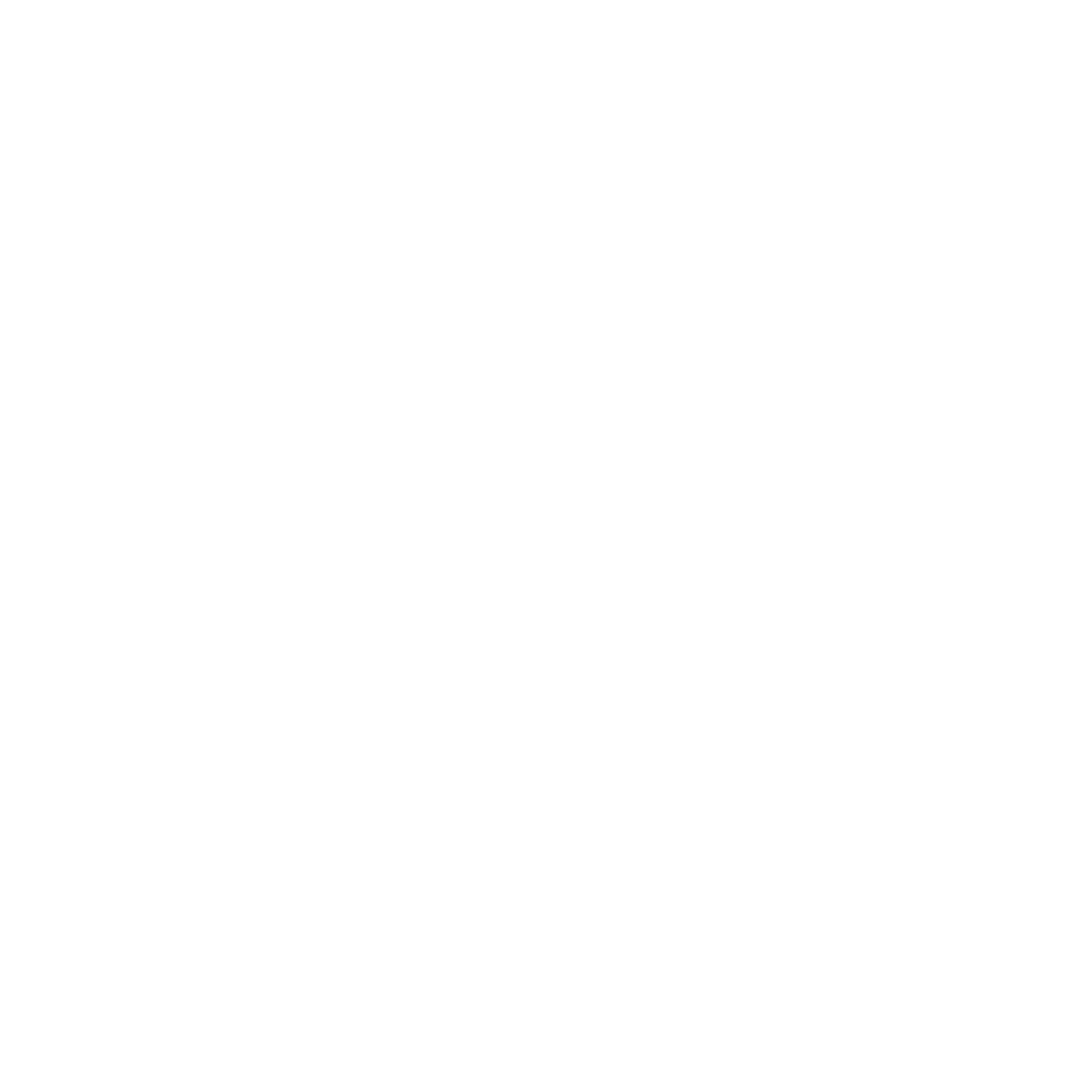 Fly the kites in Riverdale Park